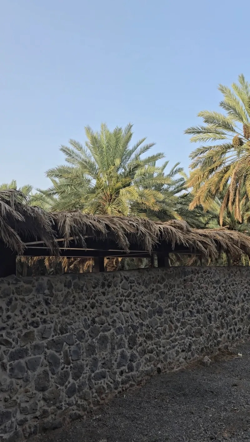 مسجد العُصْبة (مسجد النور) وبئر الهجين