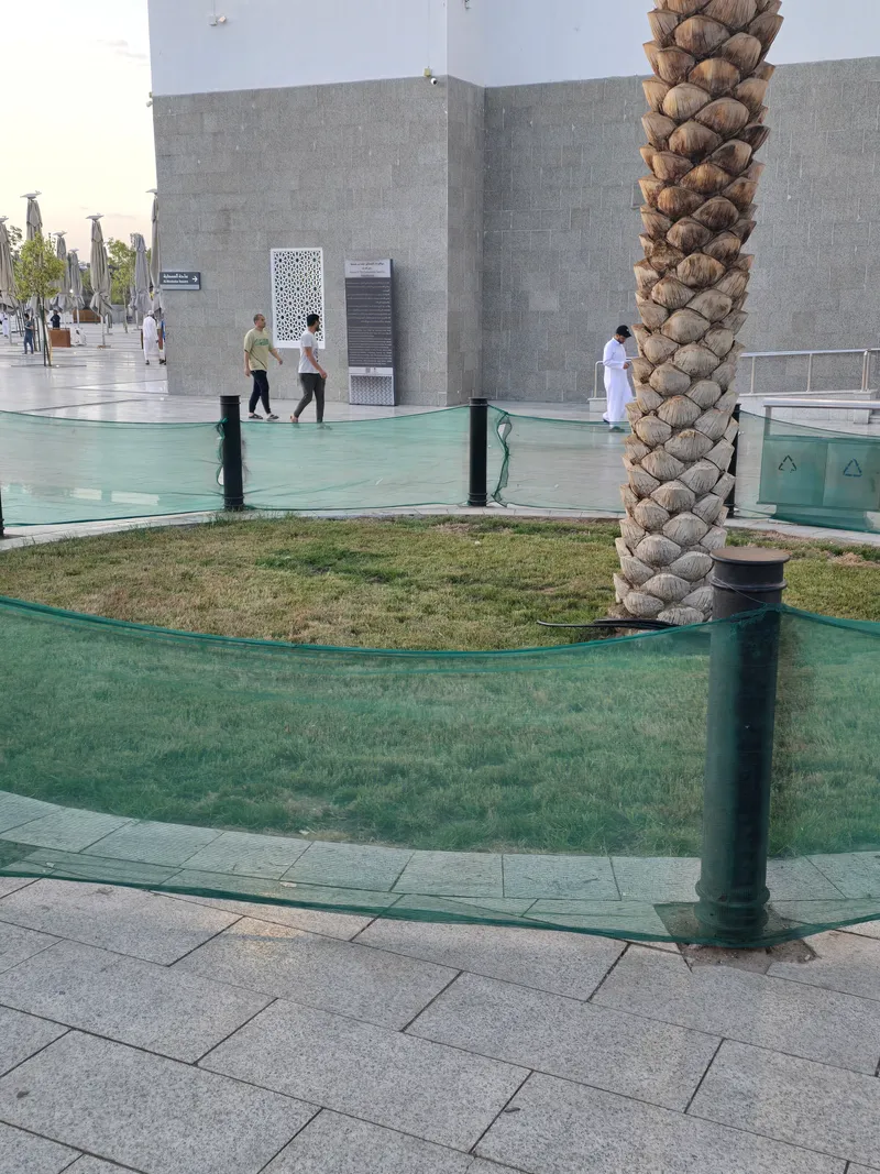 مسجد قباء